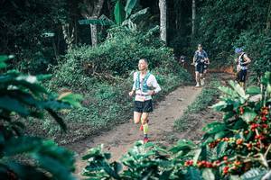 BIB: 
                            <button type="button" onclick="openModal(25799149)" class="btn btn-primary btn-sm float-right btn-popup" data-toggle="modal" data-target=".modal-high-quality">
                        <i class="fas fa-shopping-cart"></i> Add to Cart
                    </button>
                                            <button type="button" onclick="isThisMe(25799149, true)" class="btn btn-success btn-sm float-right btn-popup btn-isme hidden" data-toggle="tooltip" data-placement="bottom" title="นี่คือรูปของคุณใช่ไหม คลิกที่นี่เพื่อเอาเข้าอัลบั้ม">
                        <i class="fas fa-plus"></i> Add to album
                    </button>
                    <button type="button" onclick="isThisMe(25799149, false)" class="btn btn-warning btn-sm float-right btn-popup btn-isnotme hidden">
                        <i class="fas fa-ban"></i> Remove from album
                    </button>